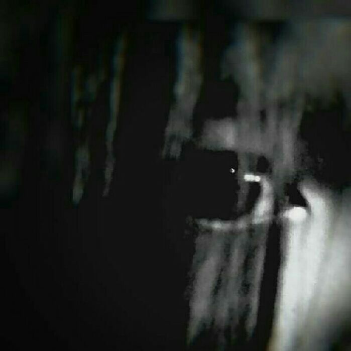 profile cover