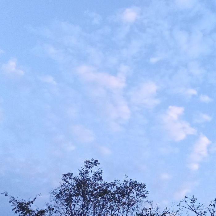 profile cover