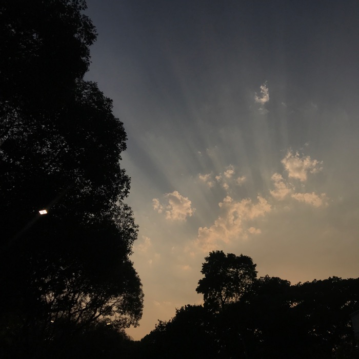 profile cover