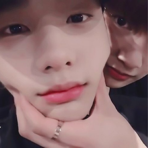 profile cover