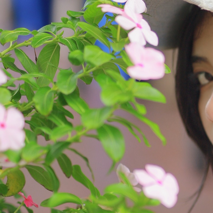 profile cover