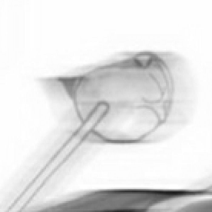 profile cover