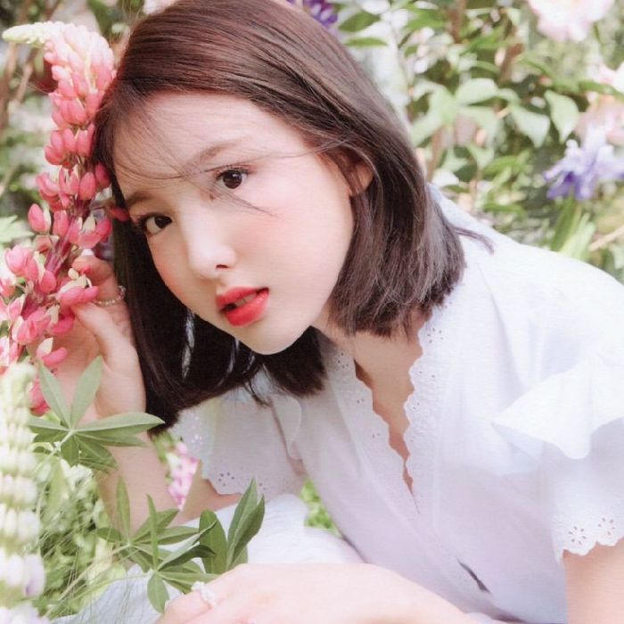 profile cover