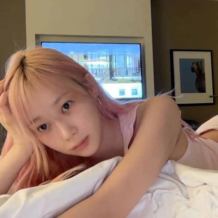profile cover