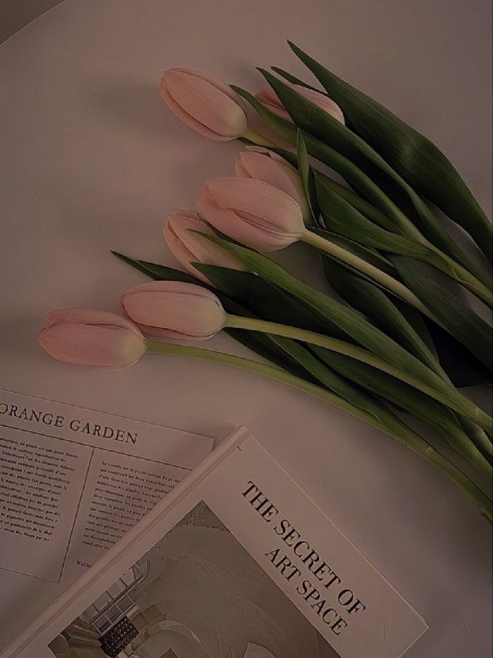 story-img