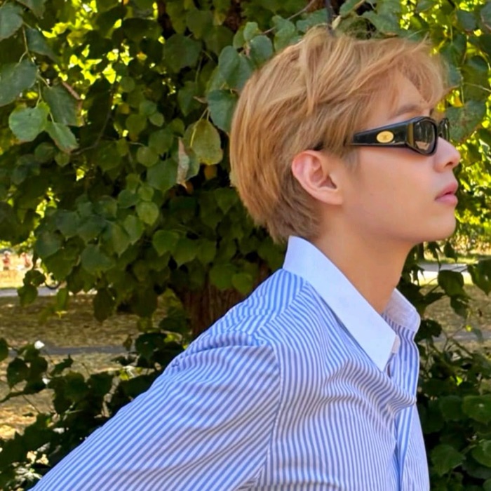 profile cover