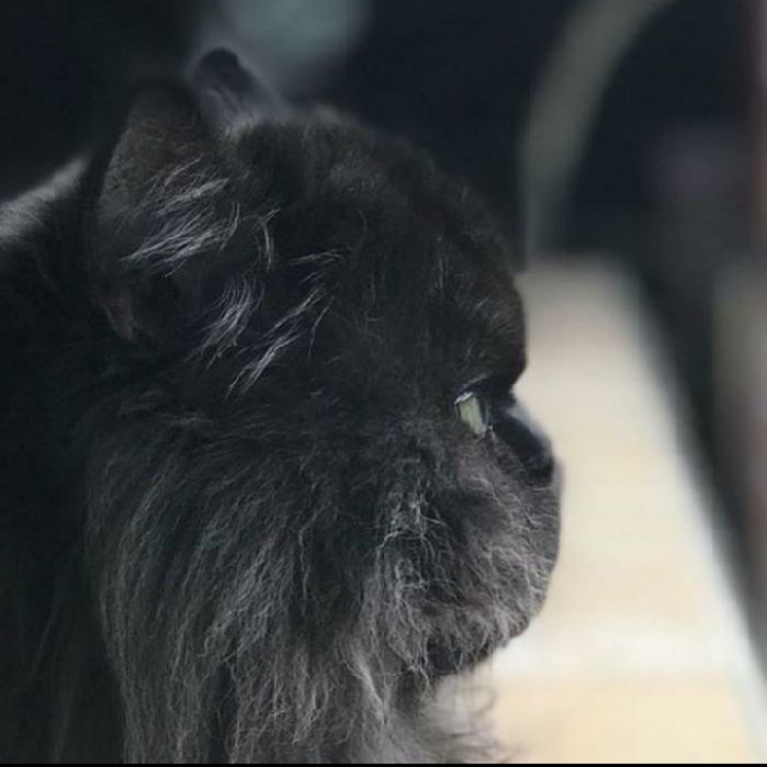profile cover