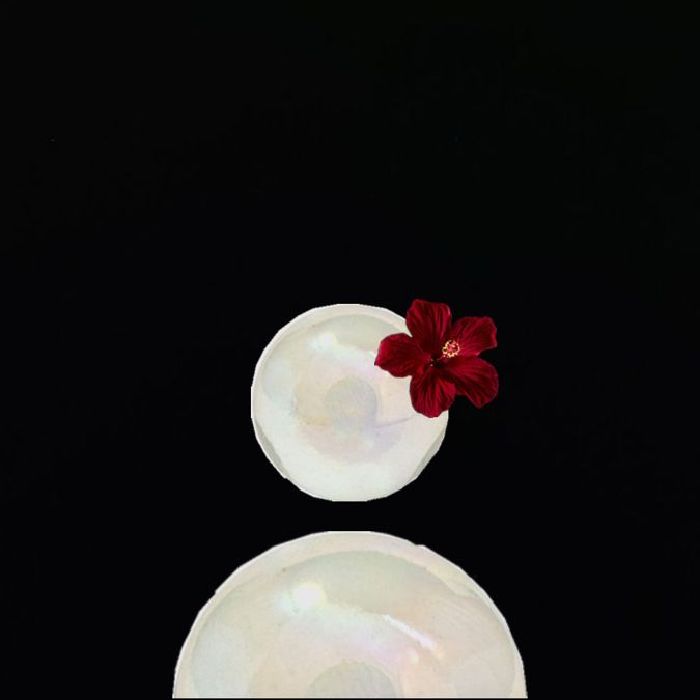 profile cover