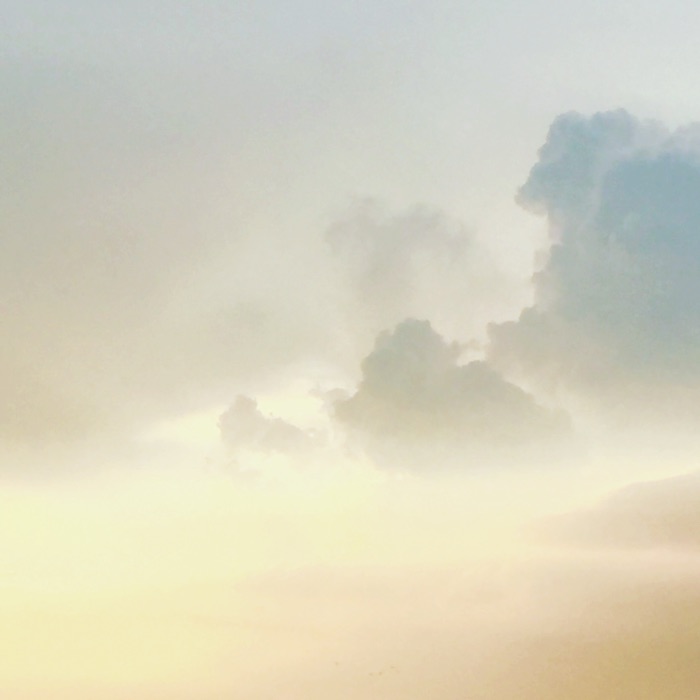 profile cover