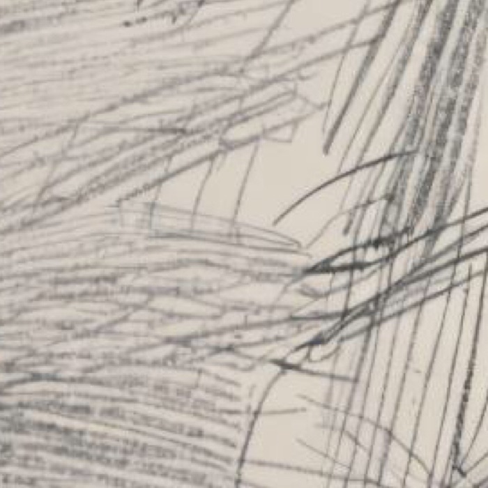 profile cover