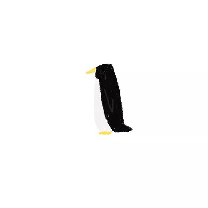 profile cover