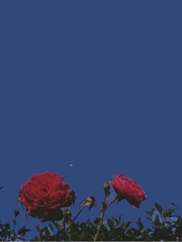 story-img
