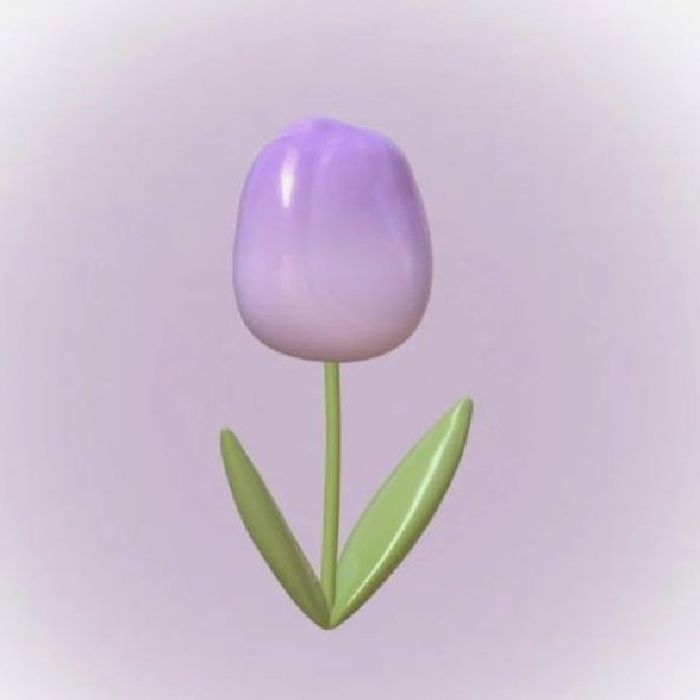 profile cover