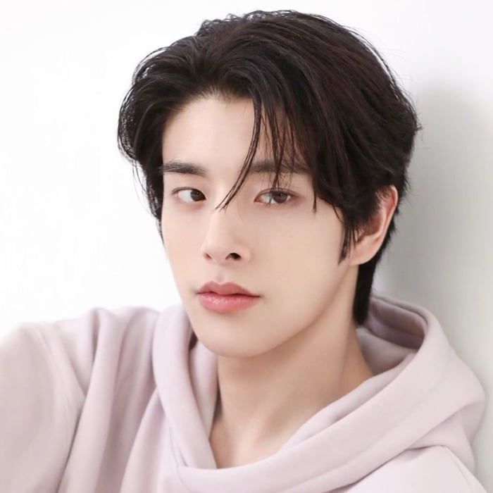 profile cover