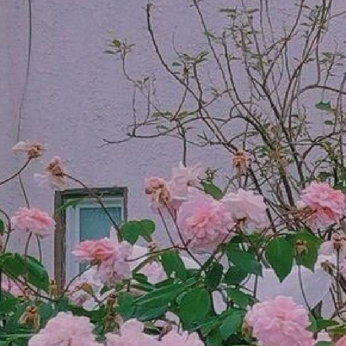 profile cover