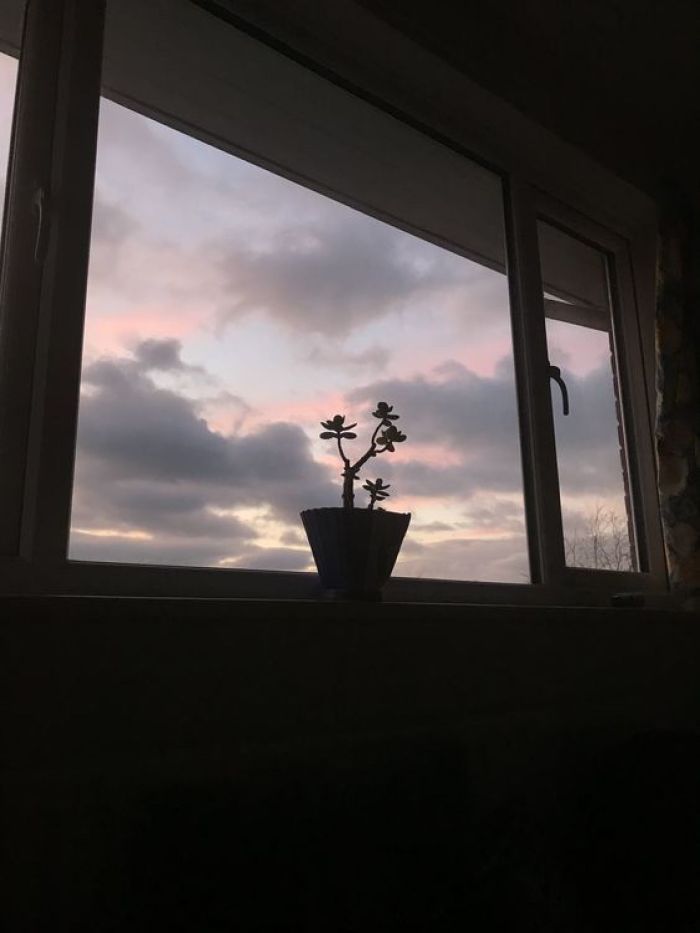 story-img