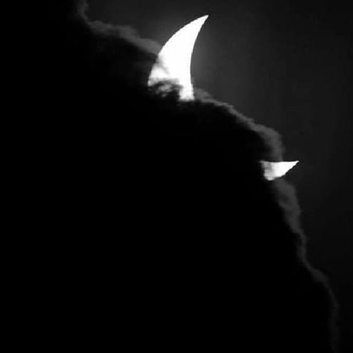 profile cover