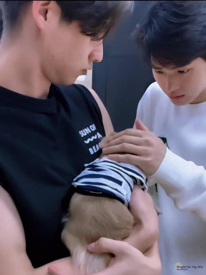 ลูกอม | ไบร์ทวิน