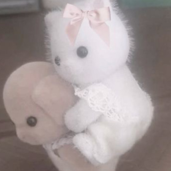 profile cover