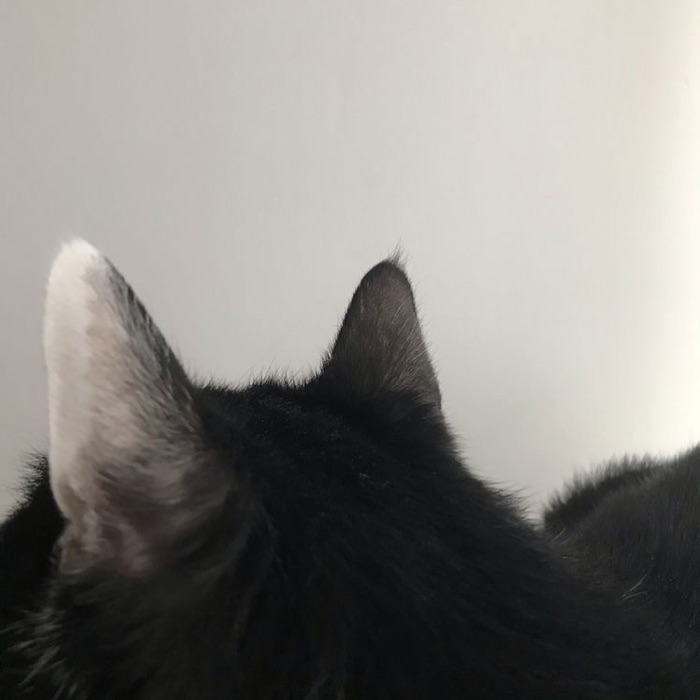 profile cover