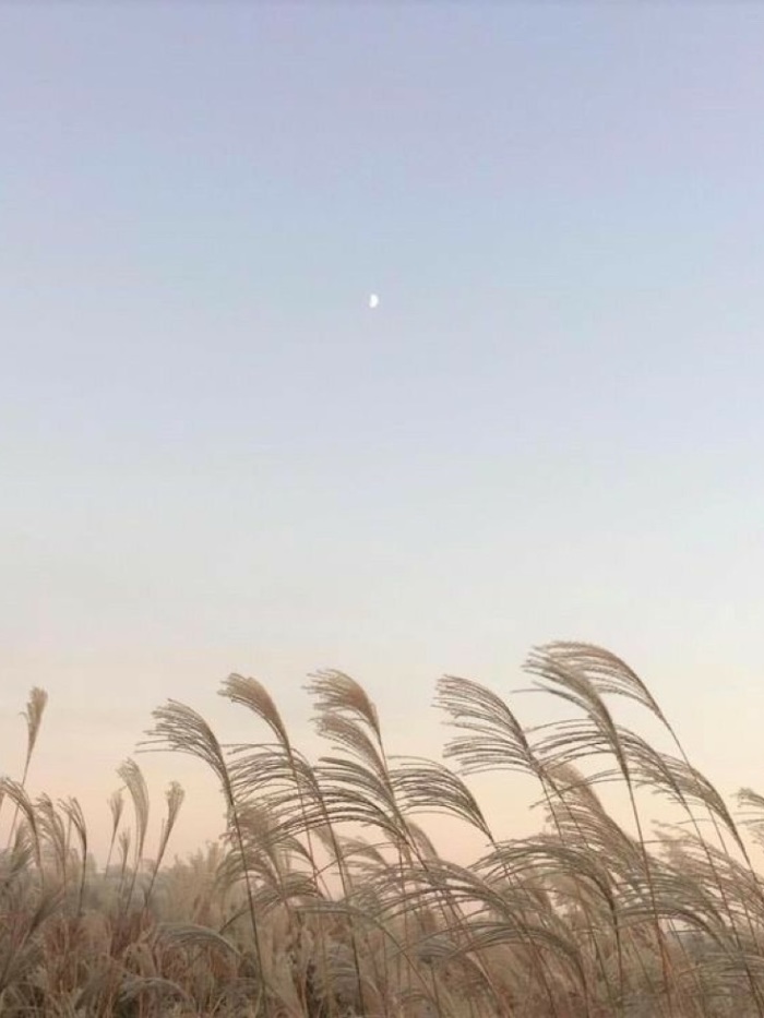 story-img