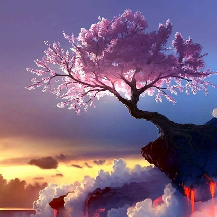 profile cover