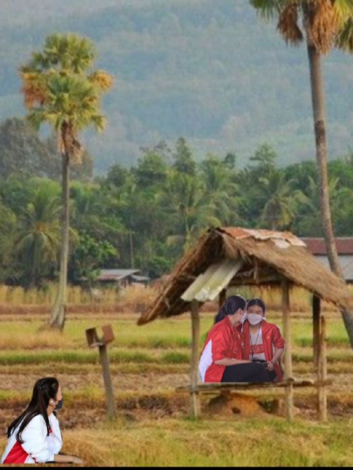 story-img