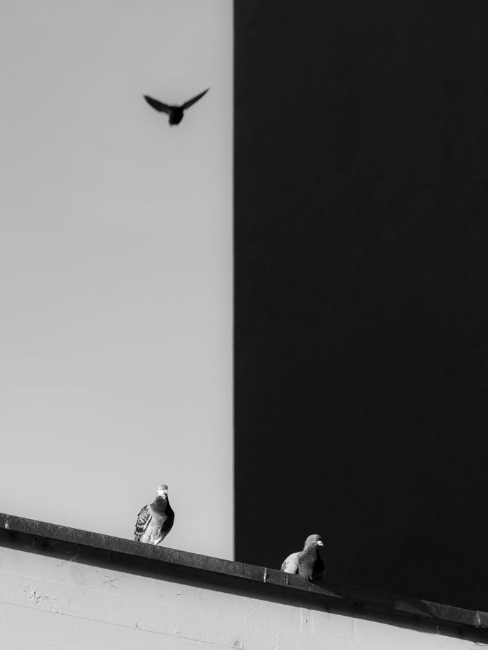story-img