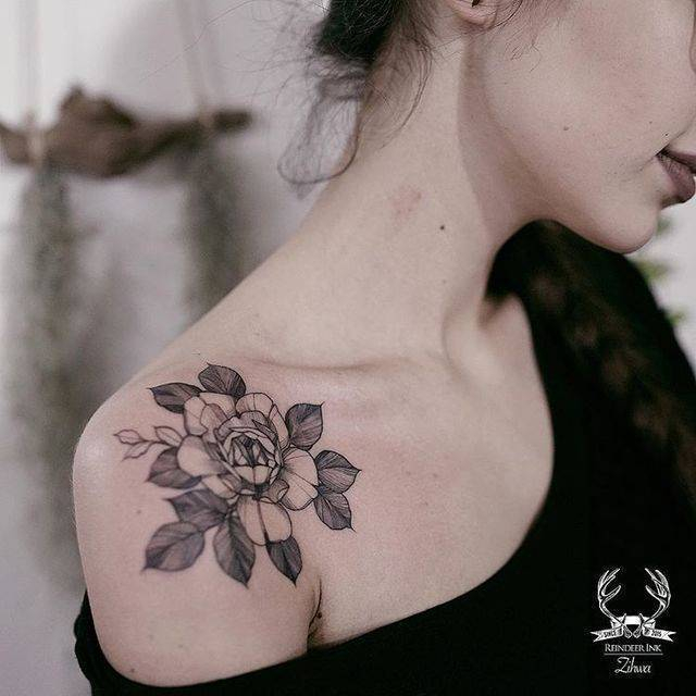 profile cover