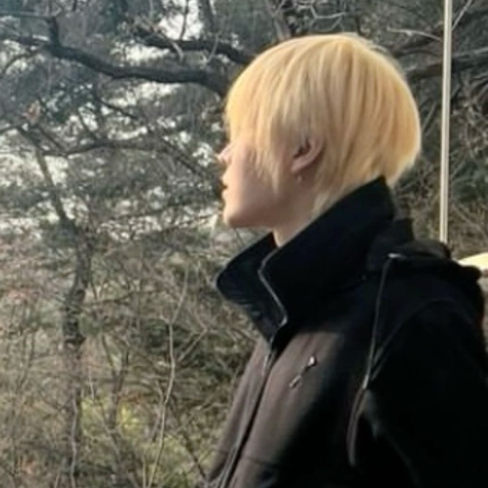 profile cover