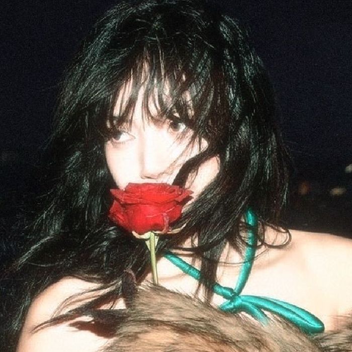 profile cover