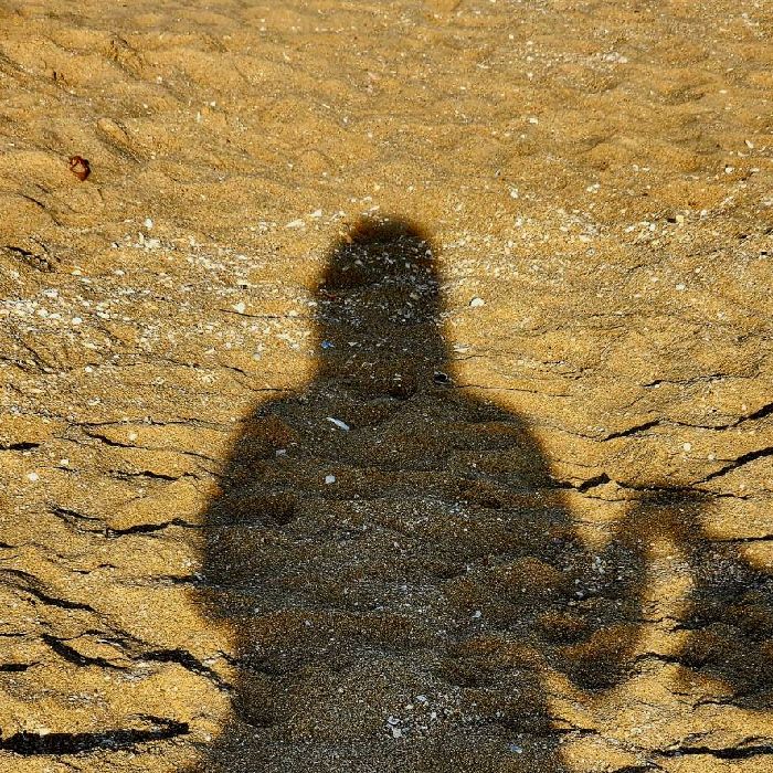 profile cover