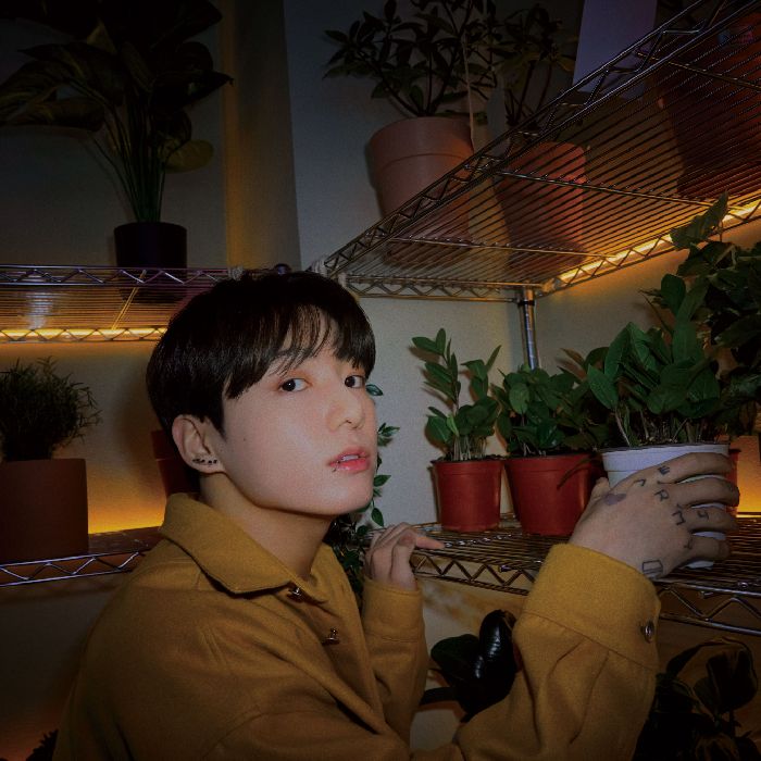 profile cover
