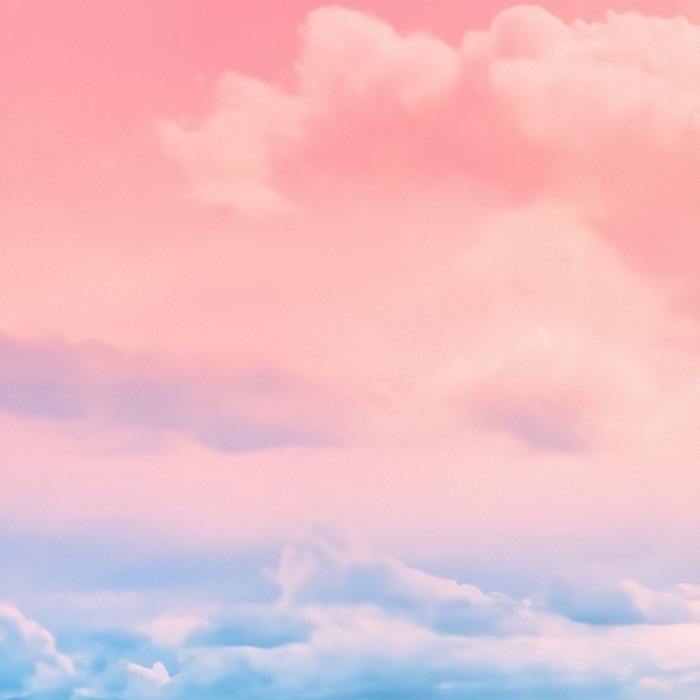 profile cover