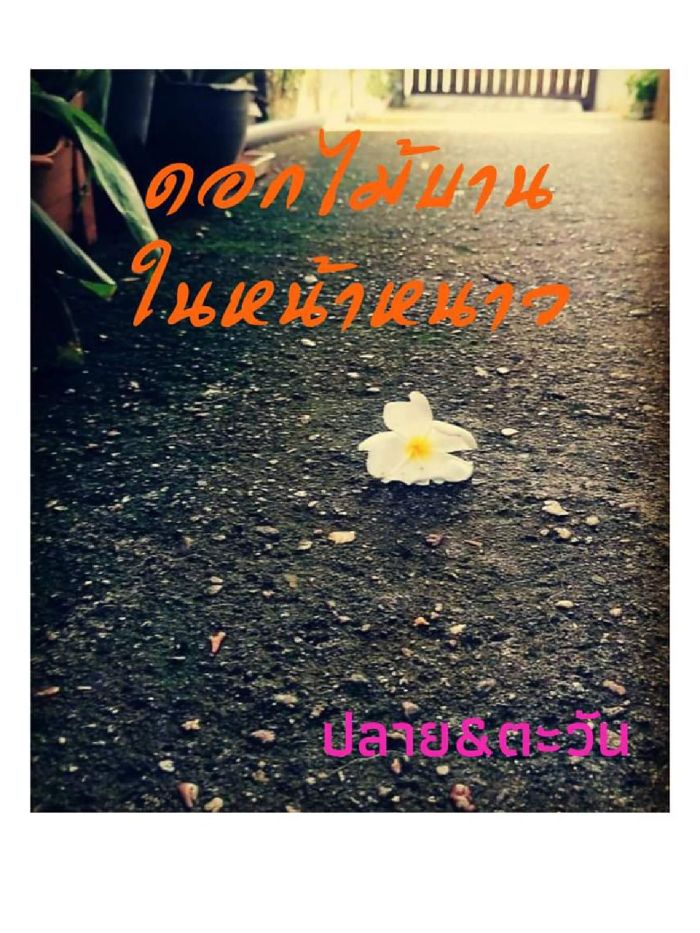story-img