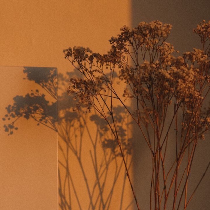 profile cover