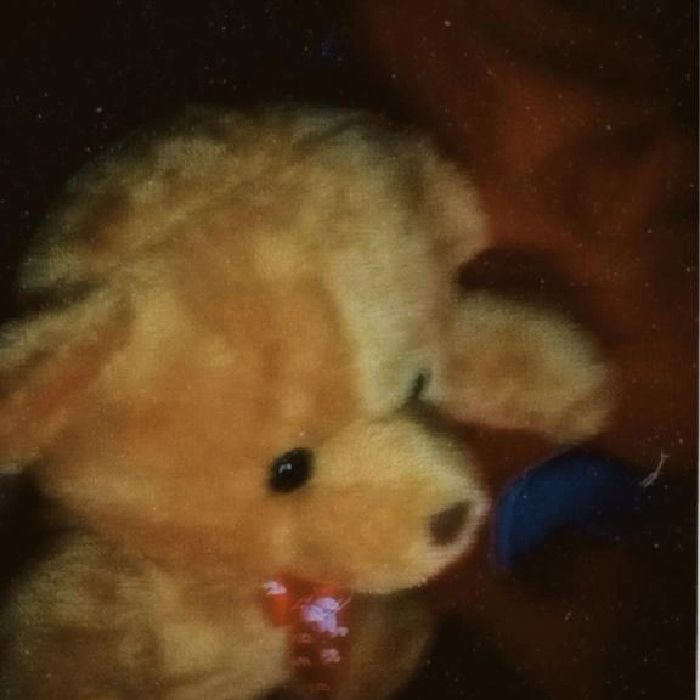 profile-image