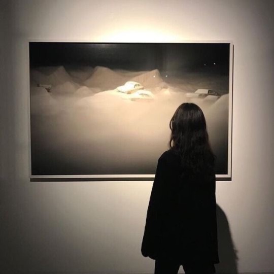 profile cover