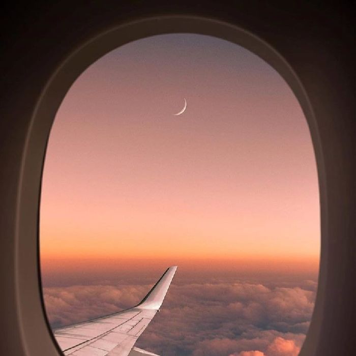 profile cover