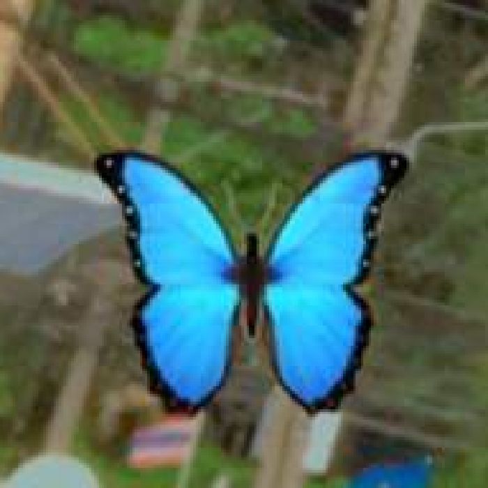 profile cover