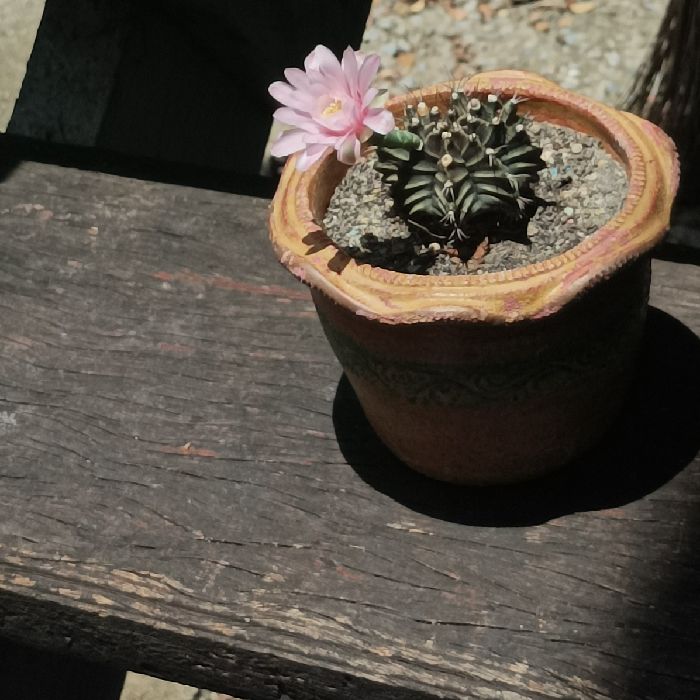 profile cover