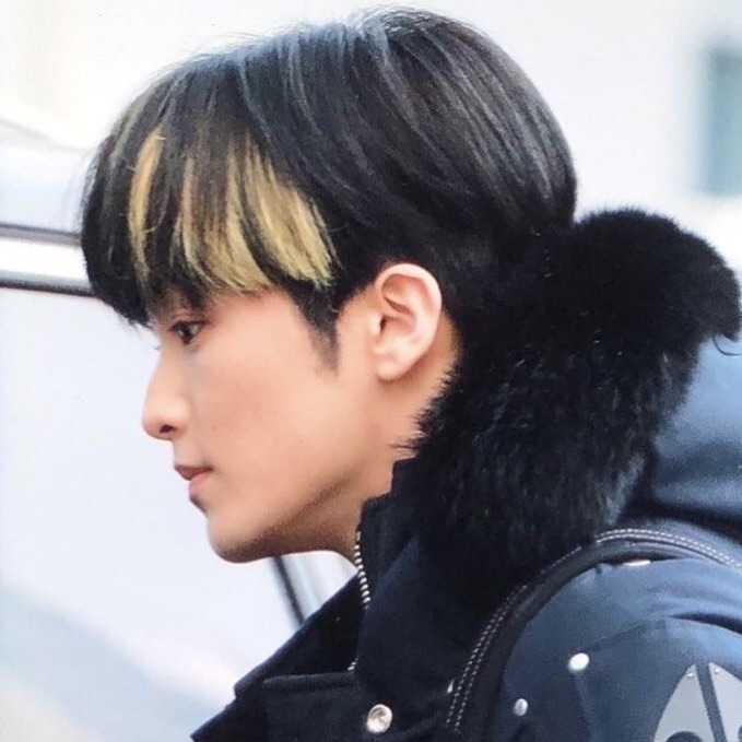 profile cover