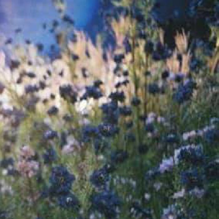 profile cover