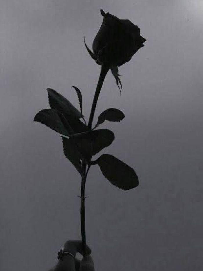 story-img