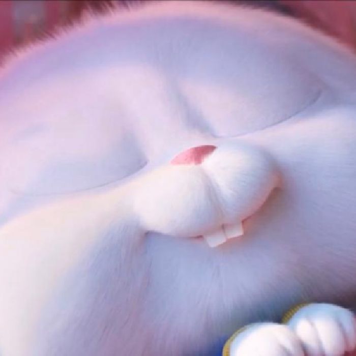 profile cover