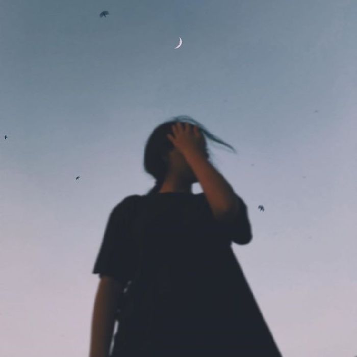 profile cover