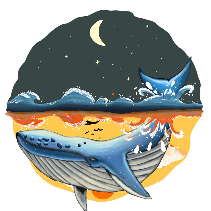 profile cover