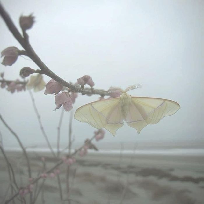 profile cover
