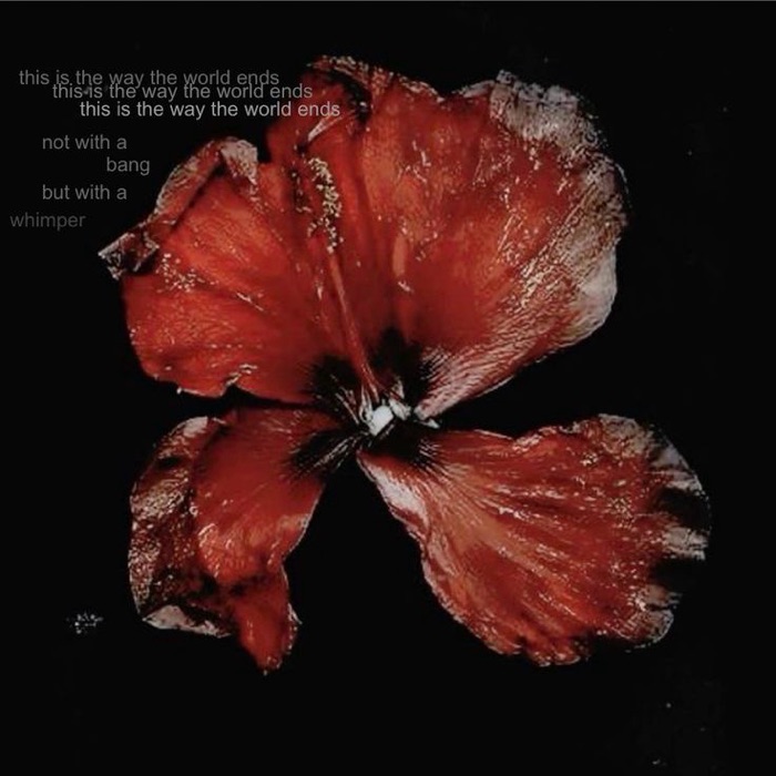 profile cover