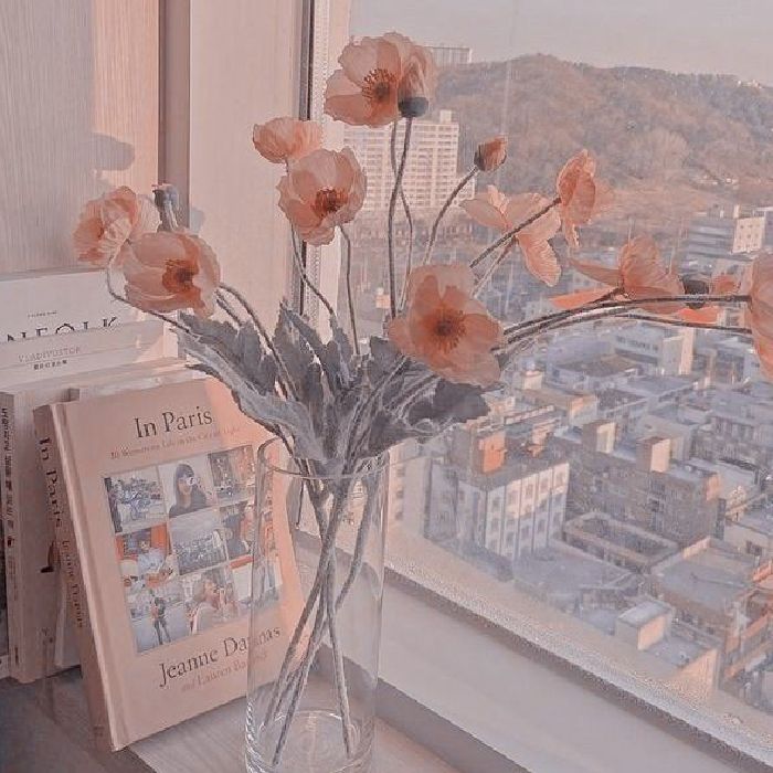 profile cover